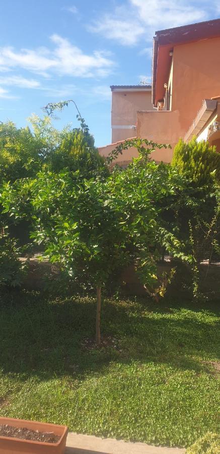 La Casetta Di Antonietta فيوميتشينو المظهر الخارجي الصورة